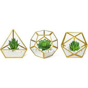 Artificial Succulent in 3 Pack Mini Glass Geometric Terrarium, Miniature Potted